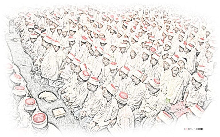 Masyarakat Lebah Tidak Individual