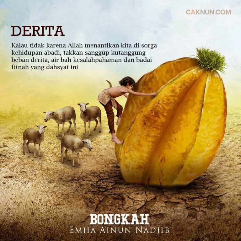 Derita