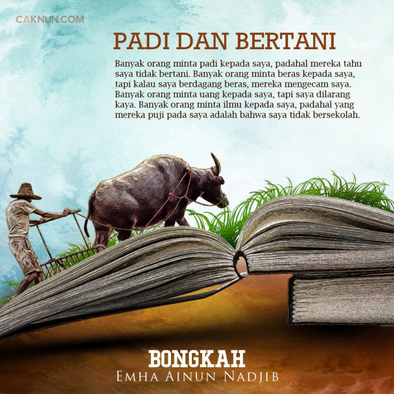 Padi dan Bertani