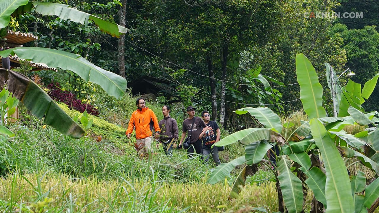 Seadanya menikmati pemandangan.