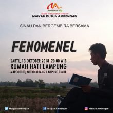 Fenomenel