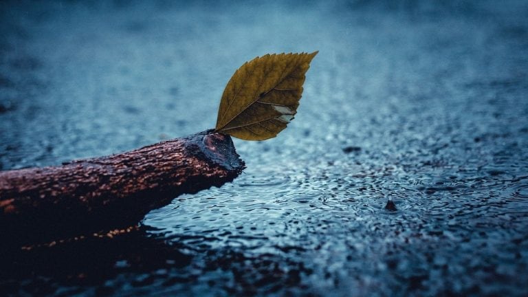 Hujan-Hujanan Menikmati Rahmat Allah