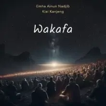 Wakafa