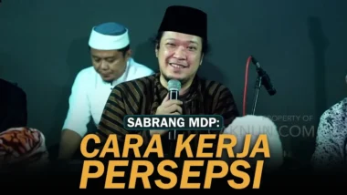 Cara Kerja Persepsi